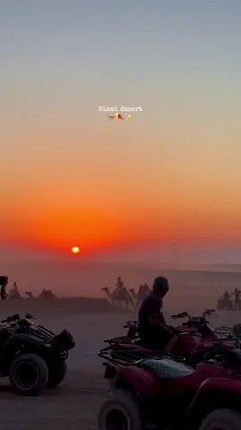 L’alba nel deserto: un istante che vale un viaggio intero ✨✨✨✨💛💛💛 #desertsafari #egitto #sharmelsheikh #fpypage #travel 