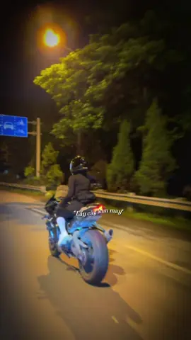 #CapCut  không bắt nổi trái tim anh 💔#zx10r 