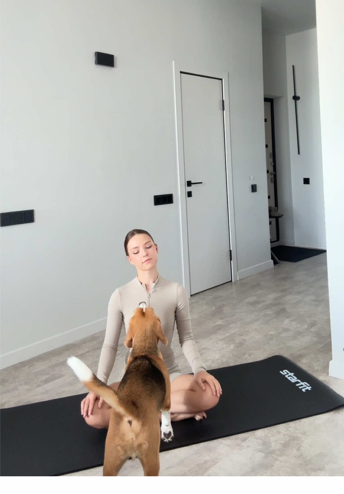 Does your dog do yoga with you? 😅#fypforyoupage #doglove #funnydog #viraltiktok #morningroutine 