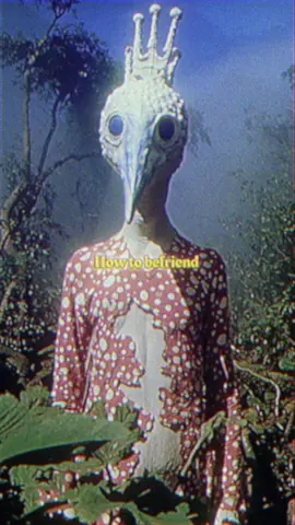 It’s time for you also have a friend from The Woods #vhs #weirdcore #dreamcore #liminal #darkfantasy 