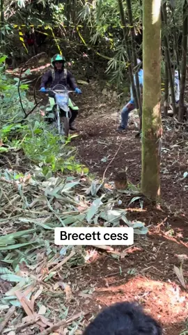 Sedkit brecett d awal