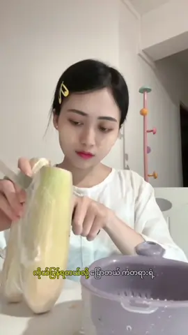 #လူတွေဟာကိုယ့်လုပ်တာကိုယ်ပြန်ရတယ်တရားတော်🙏🏻🙏🏻🙏🏻#ပါမောက္ခချုပ်ဆရာတော်ဘုရားကြီး၏တရားအဆုံးမ🙏🏻🙏🏻🙏🏻#တရားတော်များနာကြားအေးချမ်းနိုင်ပါစေ☘️🫧🤍#ကိုယ်တိုင်အေးအောင်ကြိုးစားနေပါ🍃 #ကိုယ်ပိုင်အချိန်လေးမှာပျော်အောင်နေပါတယ်🦥☘️ 