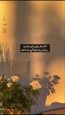 #اللهم اغفر لأبي وارحمه واجعل قبره روضة من رياض الجنة وجميع موتى المسلمين  #اقتباسات_خواطر_عبارات #ميما🇸🇦  #اكسبلورexplore 