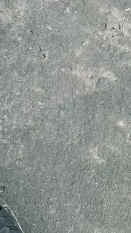 Rimex sek 🙌🏻💃🏻