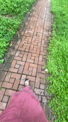 🙂💔...!  #foryou #ppp #plzunfrezemyaccount #foryouviral #foryoupage❤️❤️ @TikTok Bangladesh 