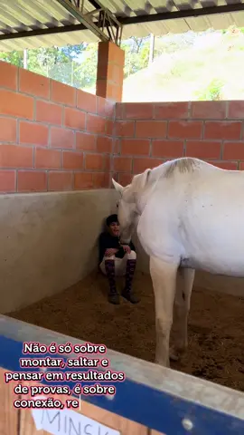Meu Minsk! Estamos criando laços… #fyp #viral #viraltiktok #animais #hipismobrasil 