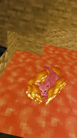 #Minecraft #cat #memestiktok #fyp #funnytiktok 