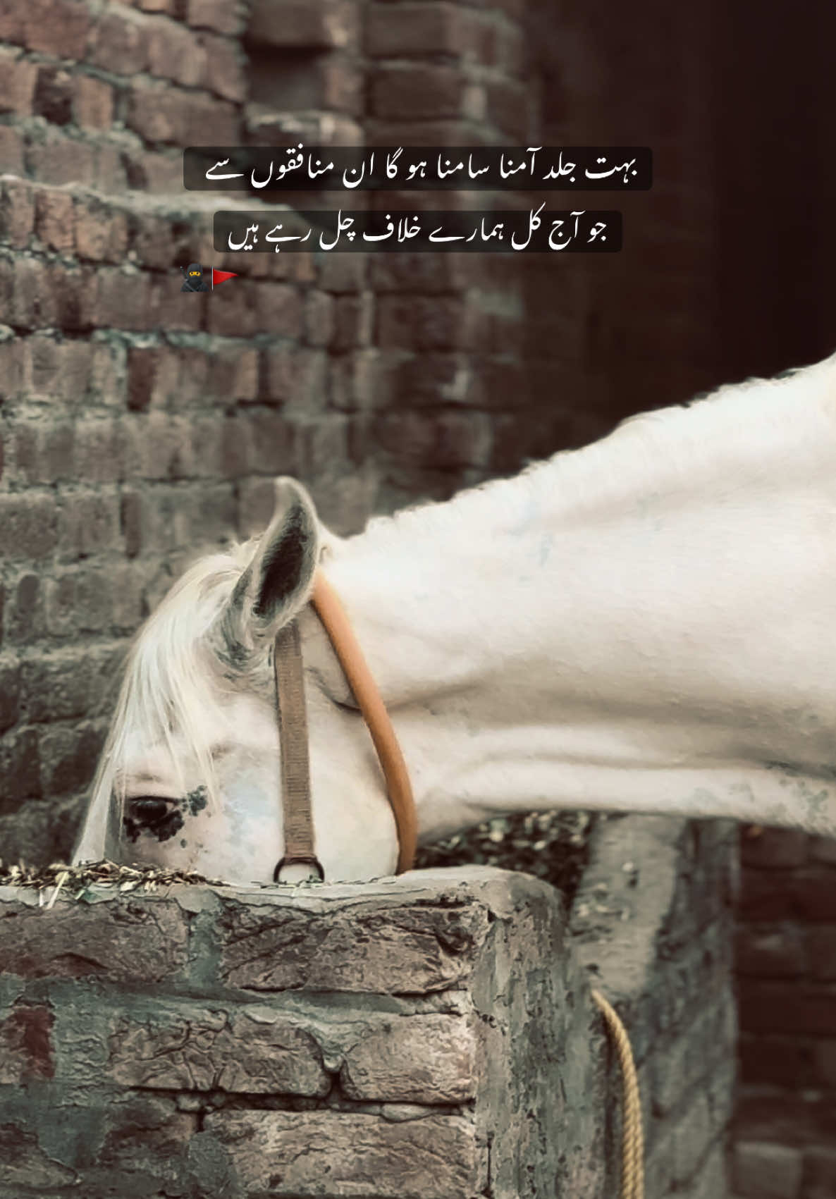 HAN G💀’ . . . #fyp #sultanwrite34 #viraltiktok #foryoupage #millionviews 