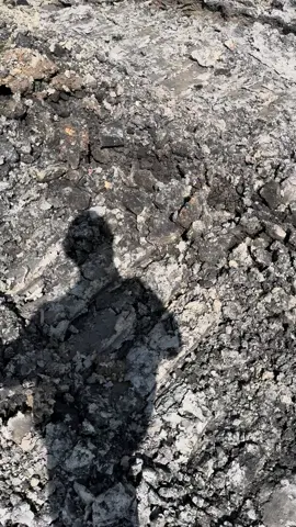 #anaktambang #tambangbatubara #tambangbatubarakalimantan 