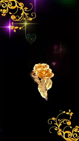 #viralvideo #parati #sanjudastadeo💚 #sanjudastadeo #sanjuditastadeo🤍💚💛 