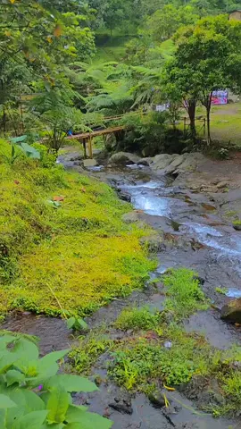 Aliran sungai+air terjun yang sangat jernih 🌊🌊 #curugsawercidahumanglid #curugviral #pesonaalam . . . . . . . . . #fory  #foryou 