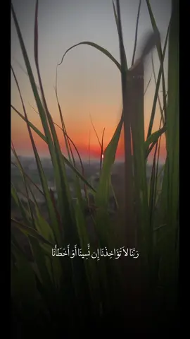 #CapCut #ادعية_اسلامية_تريح_القلب #راحه_نفسيه #طمأنينه #تصويري_احترافي_الاجواء👌🏻🕊😴 #creatorsearchinsights #viral #foryou #fyp #طبيعة #غروبالشمس  @🤍محمد|𝙼𝚑𝚊𝚖𝚊𝚍 #قران_كريم  @أبـَرار✨. 