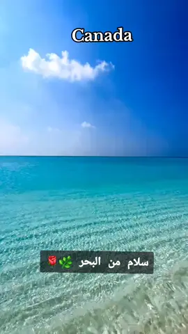 #ygentertainment #uganda #ygy #yh #yhia_yassen 