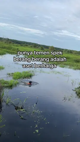 sudah pasti umpan kalian aman🤣#mancing #fyp #castingfishing🎣 #storymancing 