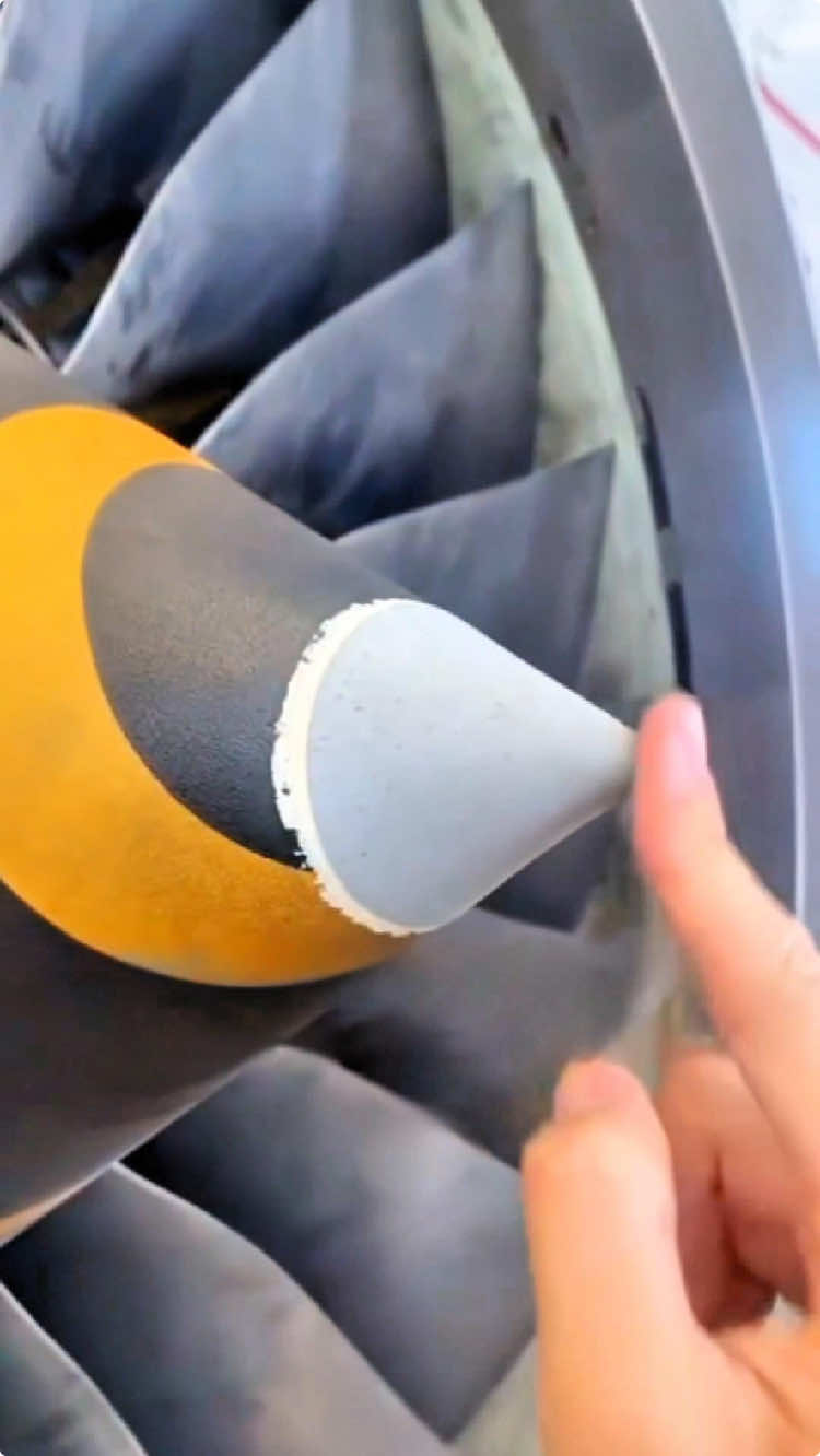 Why jet engines have a SOFT nose? The answer might surprise you! ✈️❄️#aviation #engineering #aircraft #DidYouKnow #Science 