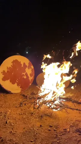 #ahwach #morocco #tamazirt#😍😍😍