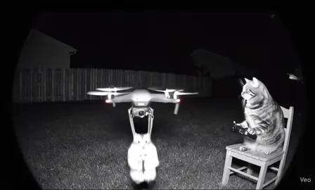 “When your cat turns the drone into a late-night workout 🐱💪🚁” #MuscleCat #StrongCat #FunnyPets #CatHumor #EpicCat     