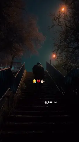 Zxp like 👍 saar🫅🌴💞🇸🇴@sharma boy 🇸🇴✊️🩸 @CUPARSIYOW⚔️_5🛡️ @King🤴🇩🇪 @🍁Amineta 🍂 @🌴Ahmed Big Bos 🇨🇦🇸🇴 @UPDA AZIIZ🤴🦅 @maldiini 🔰3️⃣❤️‍🔥 @☘️HaVe<YAMANI🌲>7 