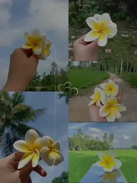 #CapCut  #কাঠগোলাপ❤️  #foryou #viralvideo #viraltiktok @TikTok Bangladesh 