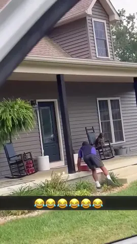 Dogs cute 🥰 #DogTalks #PuppyLove #DogOwners #CuteDogs #DogLife 