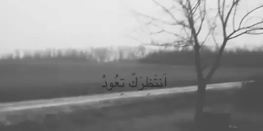 ..  #باسم_الكربلائي  #تصميم_فيديوهات  #شيعة_الامام_علي_عليه_السلام  #tiktok #حزن 