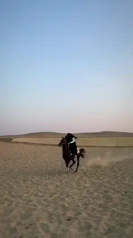 #خيل_وخياله🐎 #explore 