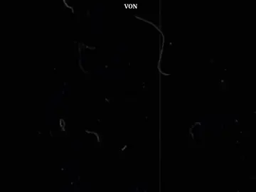 ဘာမှန်းမသိလောက်အောင်ပါပဲ . . . #foryoupage #lyrics #fyp #myanmartiktok🇲🇲 #alightmotionedit 