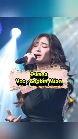 Dumes Voc : Sephin Misa #Dumes #sephinmisa #dangdut #dangduttiktok #fyp 