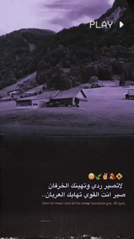 #تصميمي #تصميم_فيديوهات🎶🎤🎬 #عباراتكم_الفخمه📿📌 #الشاميه_ولايتي_الحبيبة #علوان_دوانيه2 