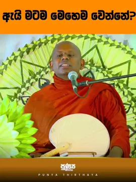 #creatorsearchinsights #walimadasaddaseela_thero #punyathirthaya #shortstory #Mahamevnawa 