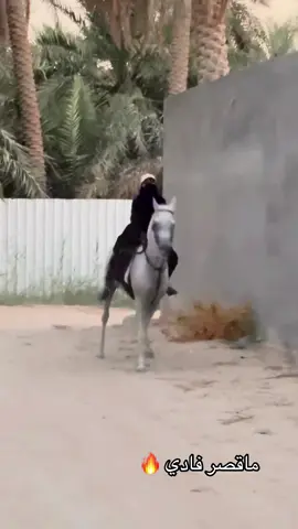 فديتنا🫦🤍#foryou #اكسبلوررر #fyppppppppppppppppppppppp @مربط اوزلاين🐎♥️#اكسبلوررر @مربط السلاطين #ماشاءالله_تبارك_الله_اذكروا_الله 