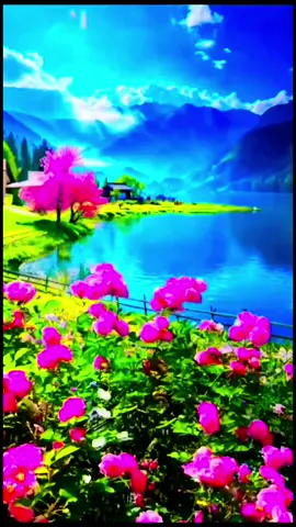 # لا اله الا الله #