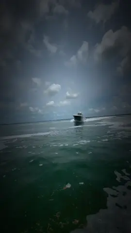 قو والله#الغربة_صعيبة_وانا_بغيتها🇪🇺 #لغربة_صعيبة_وأناا_بغيتها🚤🇨🇵🇪🇦 #لغربة_صعيبة_وانا_بغيتها🇪🇺🇪🇺 #اروبا #الغربة_صعيبة_وانا_بغيتها🇩🇿🇩🇿🇶🇦🇶🇦 
