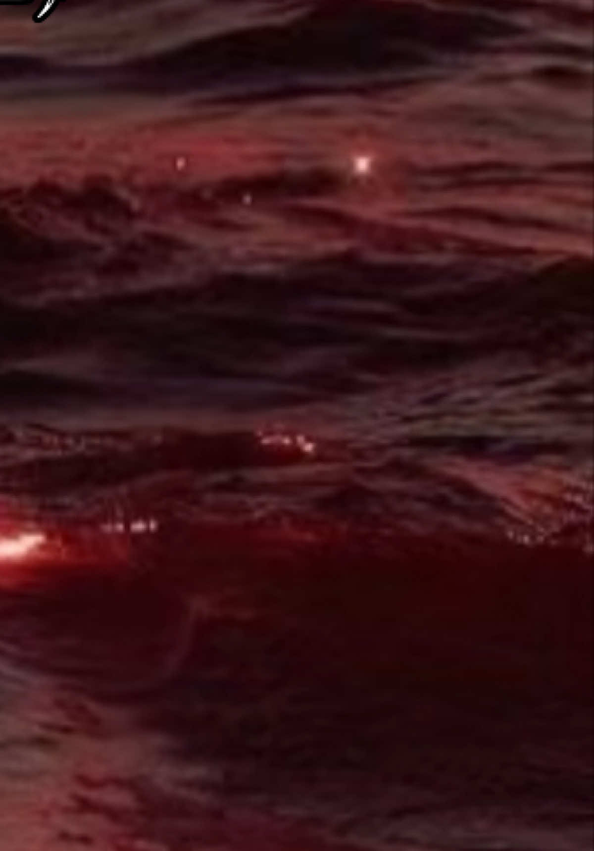 #قران_كريم #العراق #بغداد #explore #fyp 