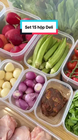 Deli mới ra mắt sản phẩm gia dụng. Set 15 hộp nhựa đủ kích thước siêu xịn luônnn #deli #hopnhuadungthucpham #hopnhua #thubinh1997 