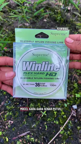 Kalau senarmu sering putus, saatnya upgrade ke Supreme Winline HD #SIKIDAL #senarpancing #senarnilon #senarnilongalatama #mancingmalam 