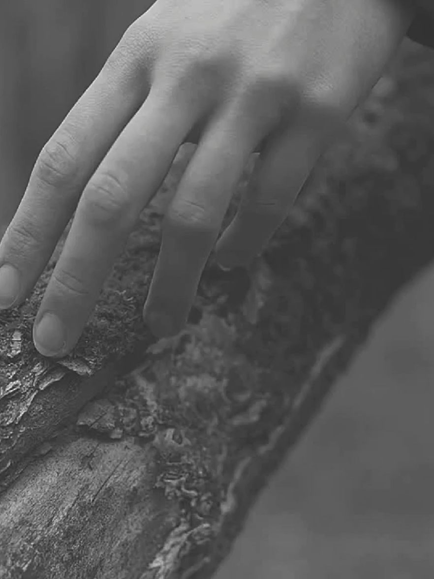 Why?  .  .  . #باسم_الكربلائي #ليش_تركتني#fyp #greenscreen 