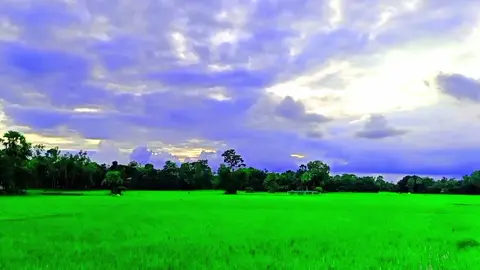 জগত টা কে দেখলাম!😅❤️‍🩹#foryou #viralffvideo #viraltiktok #foryoupage #zipping07 