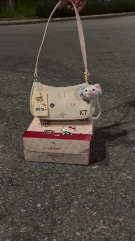 Túi tặng người yêu 🩶 #xuhuong #hellokitty #tuanhaishop #borryrosa #tuitangnguoiyeu 