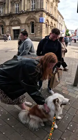 Interactions with my dog!!  #fyp #foryou #famous #viral #violasnow 