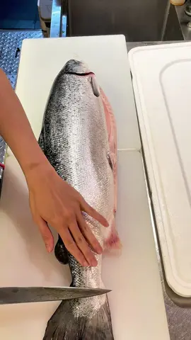 #salmon #xuhuong #amthucnhatban #nhahangnhatban #sashimi 