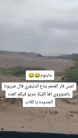 شغل بختلف ياصاحبي😂 نصر من الله وفتح قريب