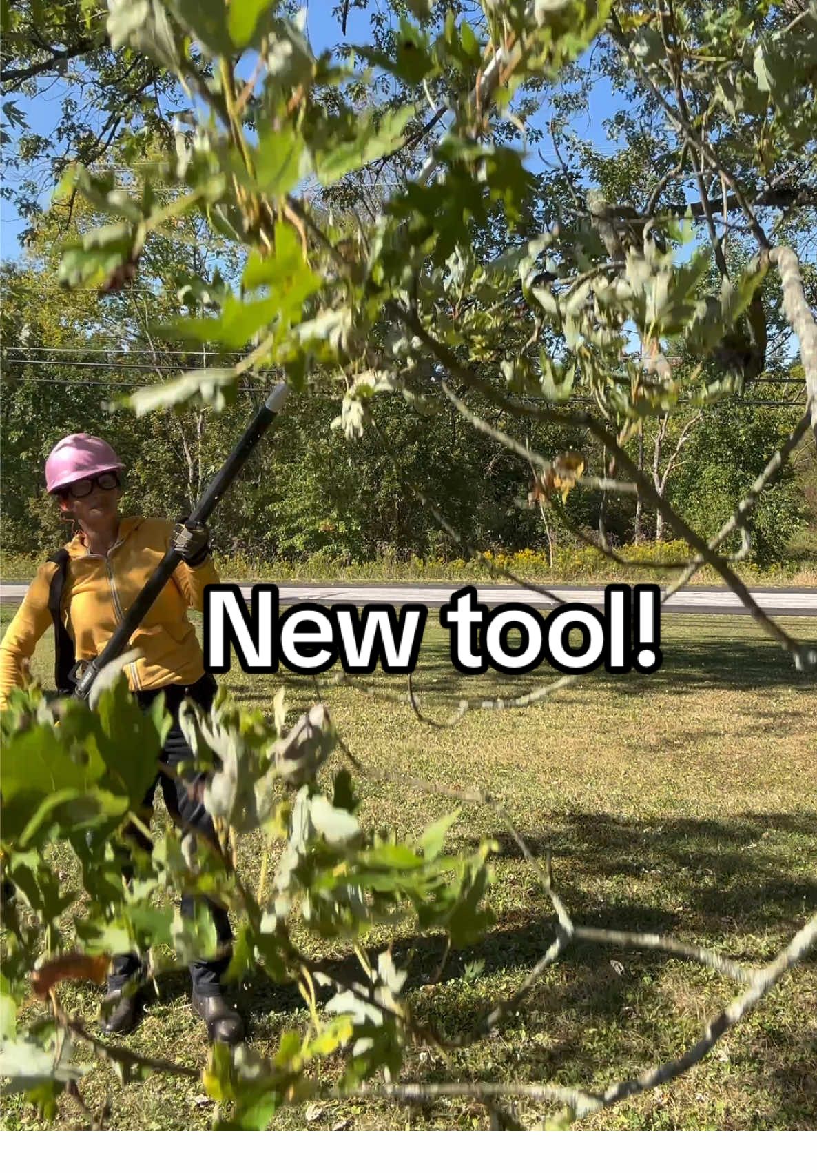 Coming soon to my @YouTube channel! Finally I’m able to cut these branches that came dangerously close to my roof and septic system with this DeWalt pole saw. 🎉 Having the right tools is empowering. 💪