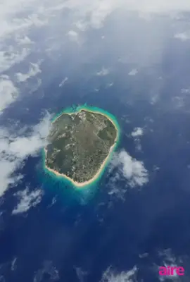 Mood since bus is late for the capy - aire video #capybara #animalsofttiktok #aivideo #AireVideo #AireForce 