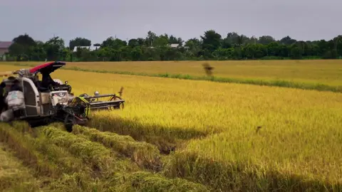 đợi nước cái hết ngày luôn😂@vulinh951999 @Cậu4. 70 @Vủ Thanh ✈️✈️ @K i Ệ t B i A c K @Hào Bắp nè 🌽 #xuhuong #chaomoinguoi #thienka 