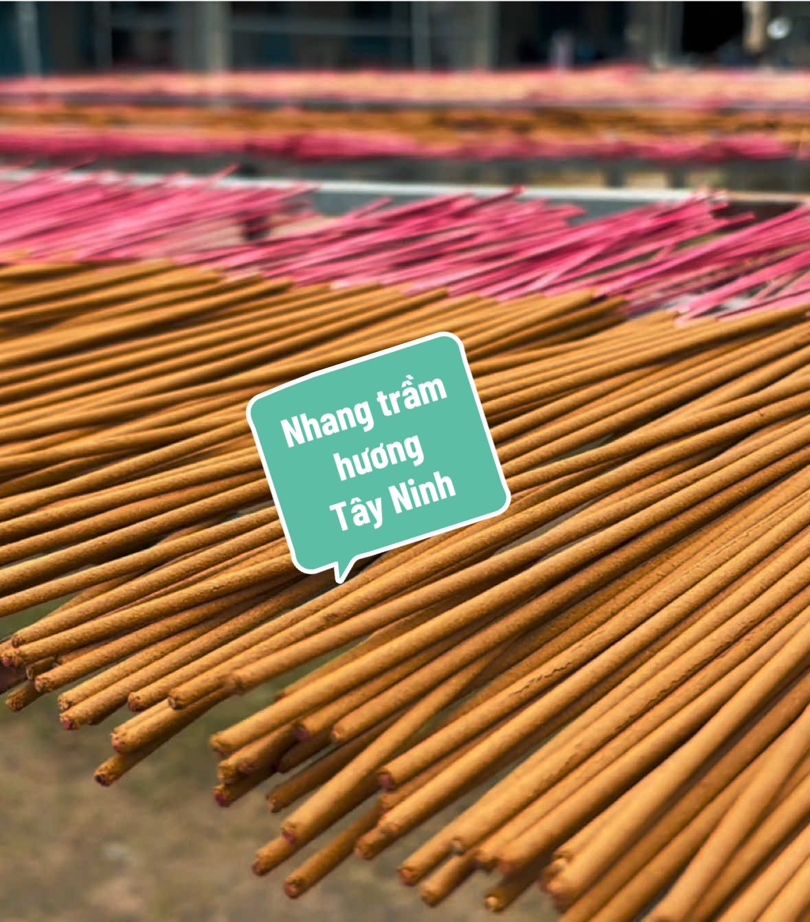 Nghề làm nhang truyền thống Tây Ninh 