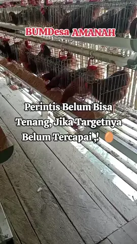 #Bumdesamanahdesacigentur #merintisusaha #tanjungkerta #ayampetelur #ketahananpangan @kecamatan_tanjungkerta @dony ahmad munir  @Kang Fajar @ErwanSetiawan54  @indra_79  @KANG DEDI MULYADI 