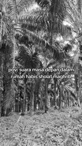 @AyKitaa❤️ #rumah #masadepa #fypage #rumahimpian 