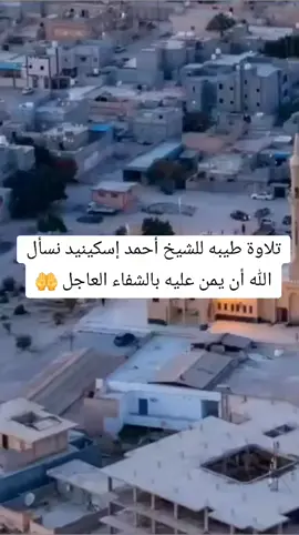 #creatorsearchinsights 