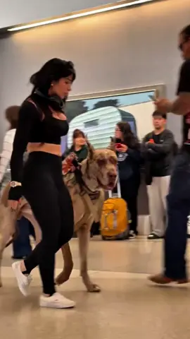 Best personal security #dog #dogsoftiktok #pet #funny #dogandbaby 